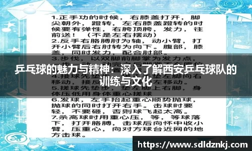 乒乓球的魅力与精神：深入了解西安乒乓球队的训练与文化